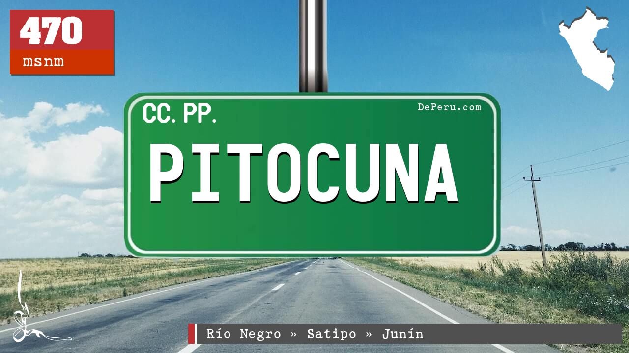 Pitocuna
