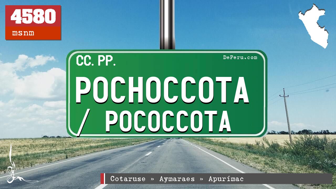Pochoccota / Pococcota