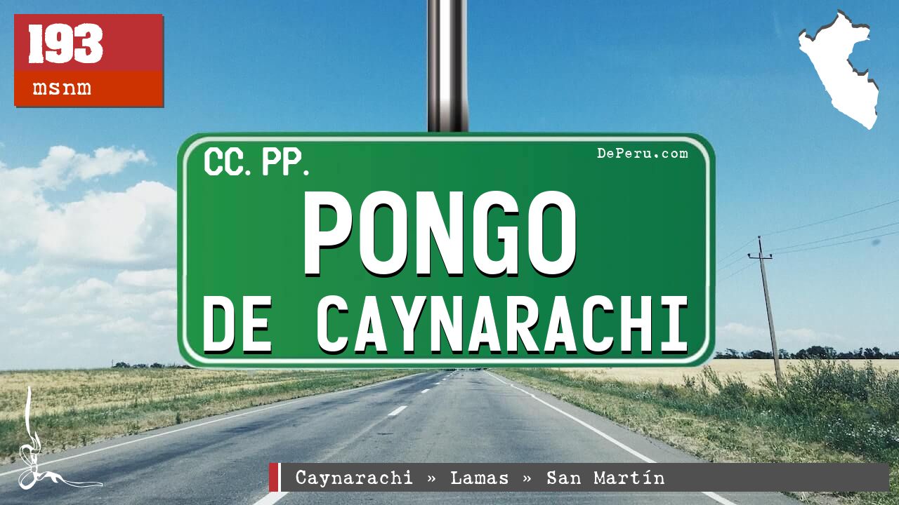 Pongo de Caynarachi