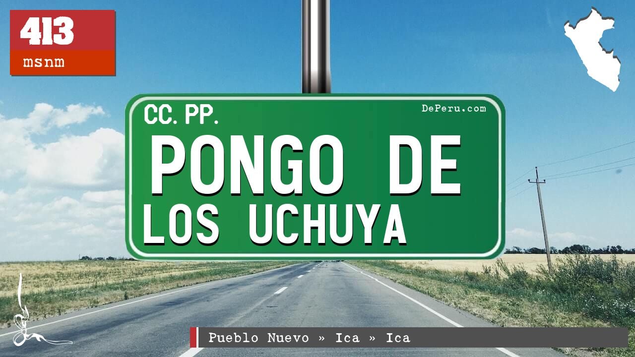 Pongo de Los Uchuya