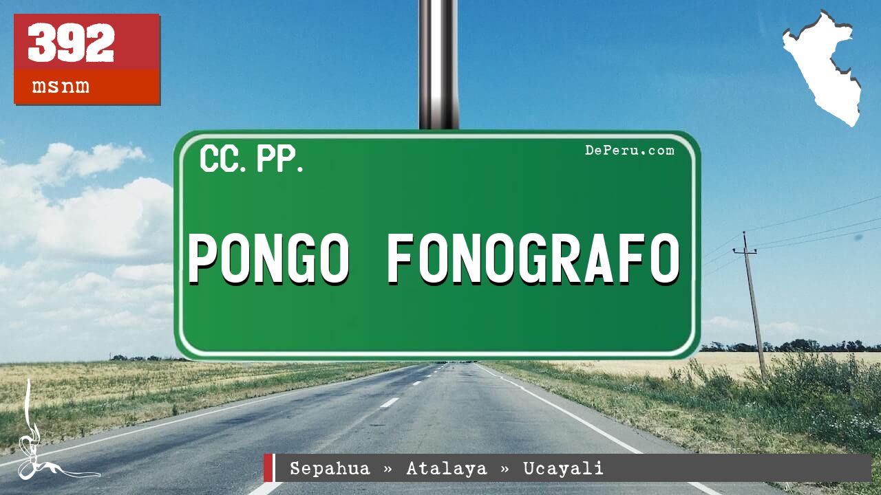 PONGO FONOGRAFO