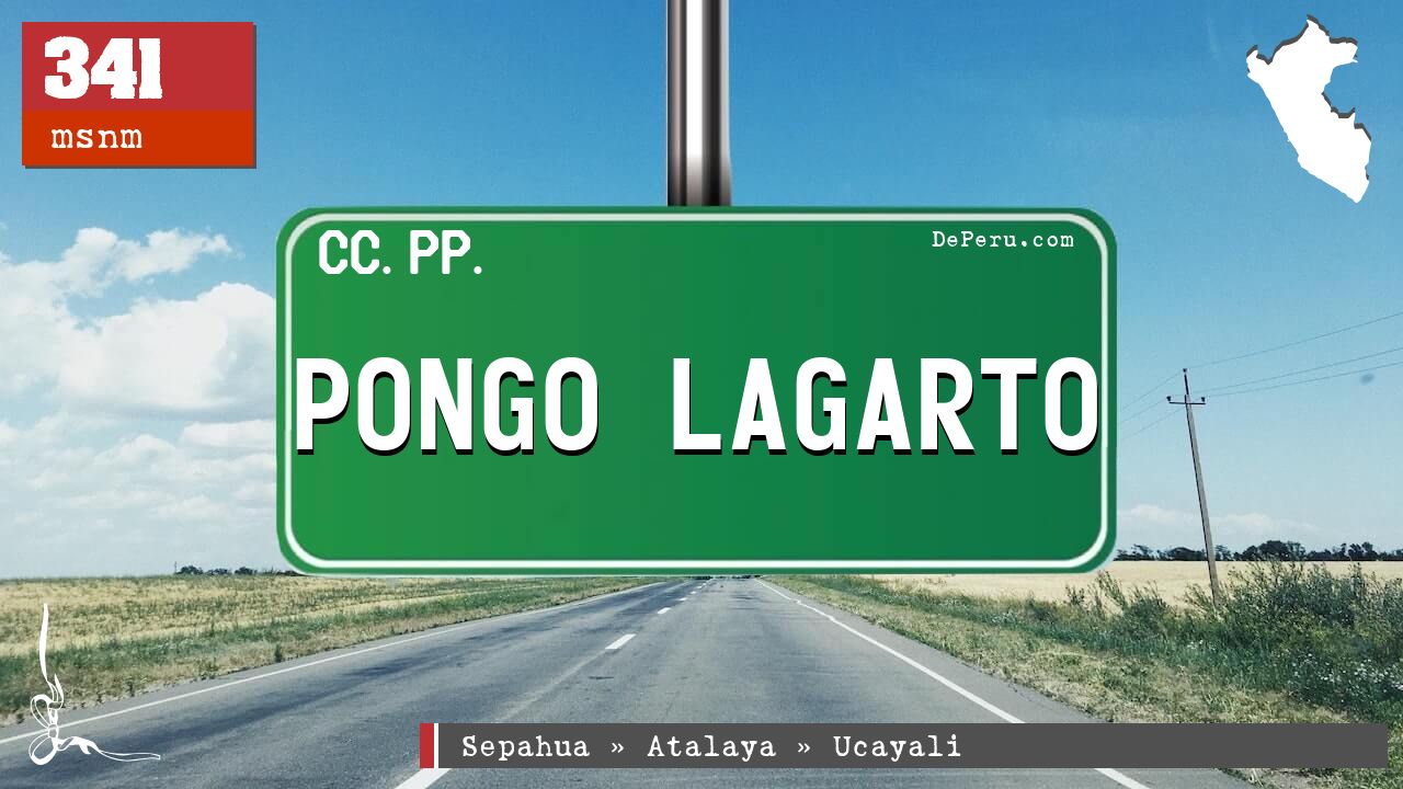 Pongo Lagarto