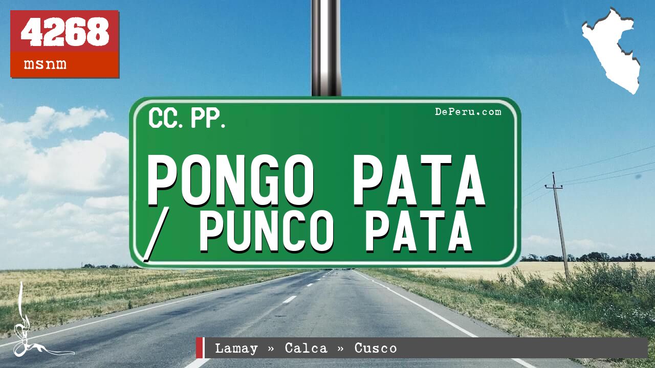 PONGO PATA