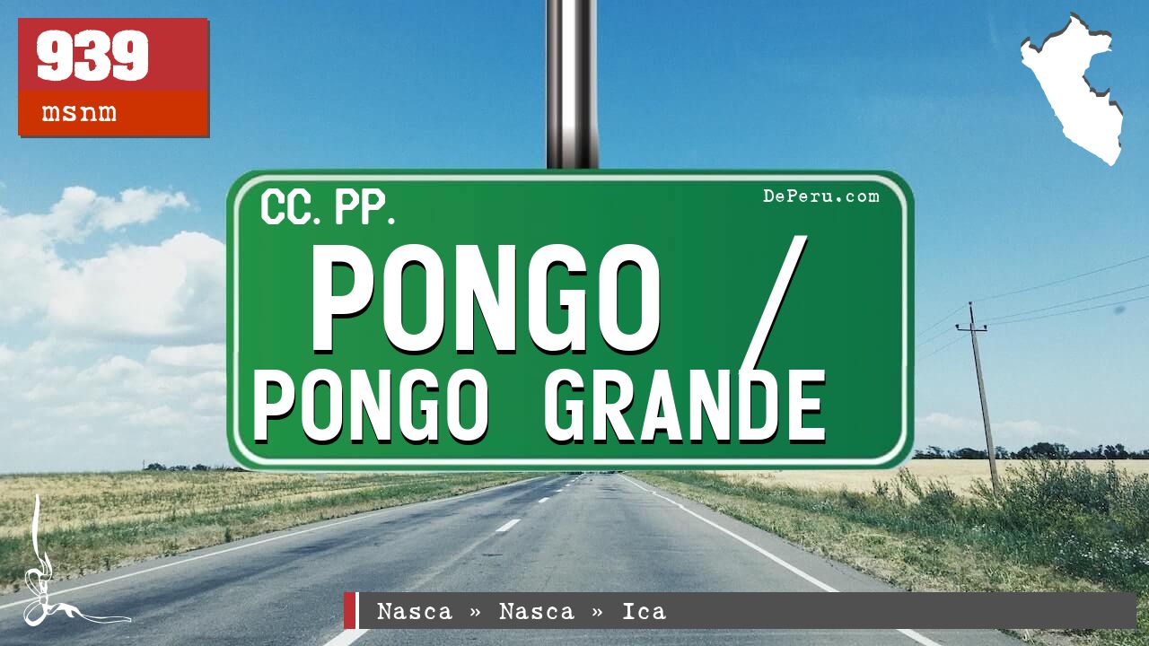 Pongo / Pongo Grande