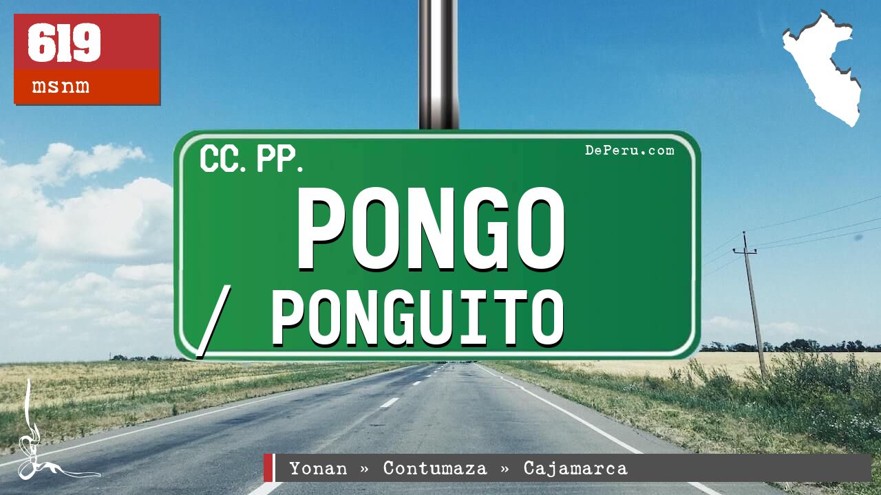 Pongo / Ponguito