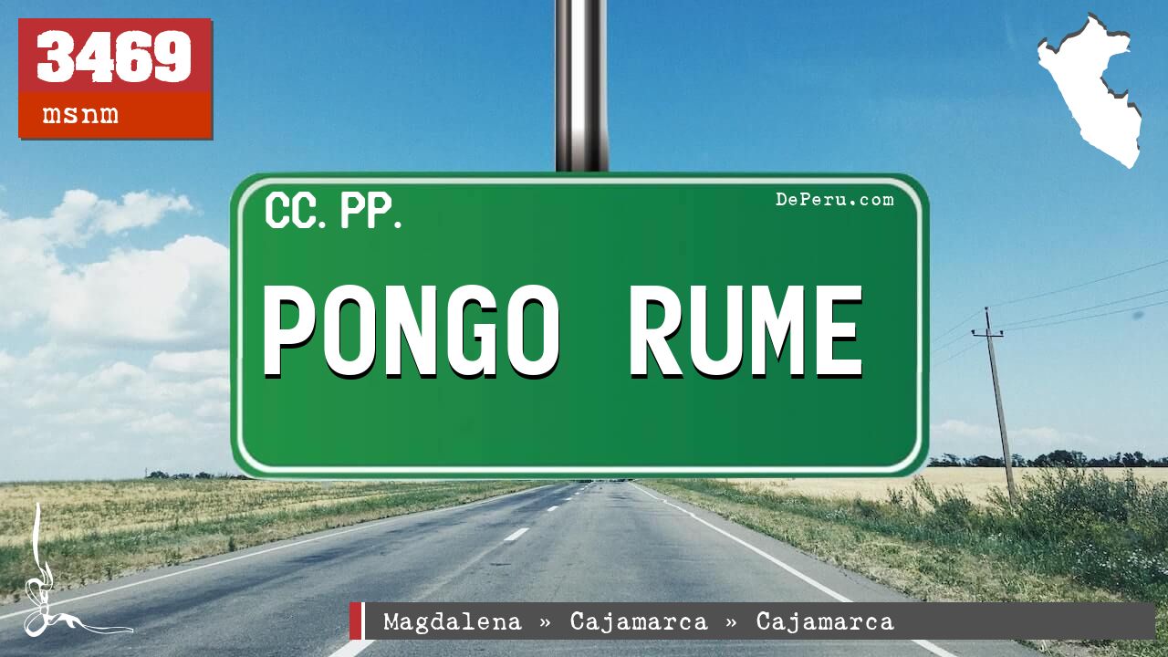 Pongo Rume