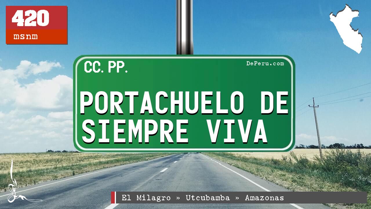 PORTACHUELO DE