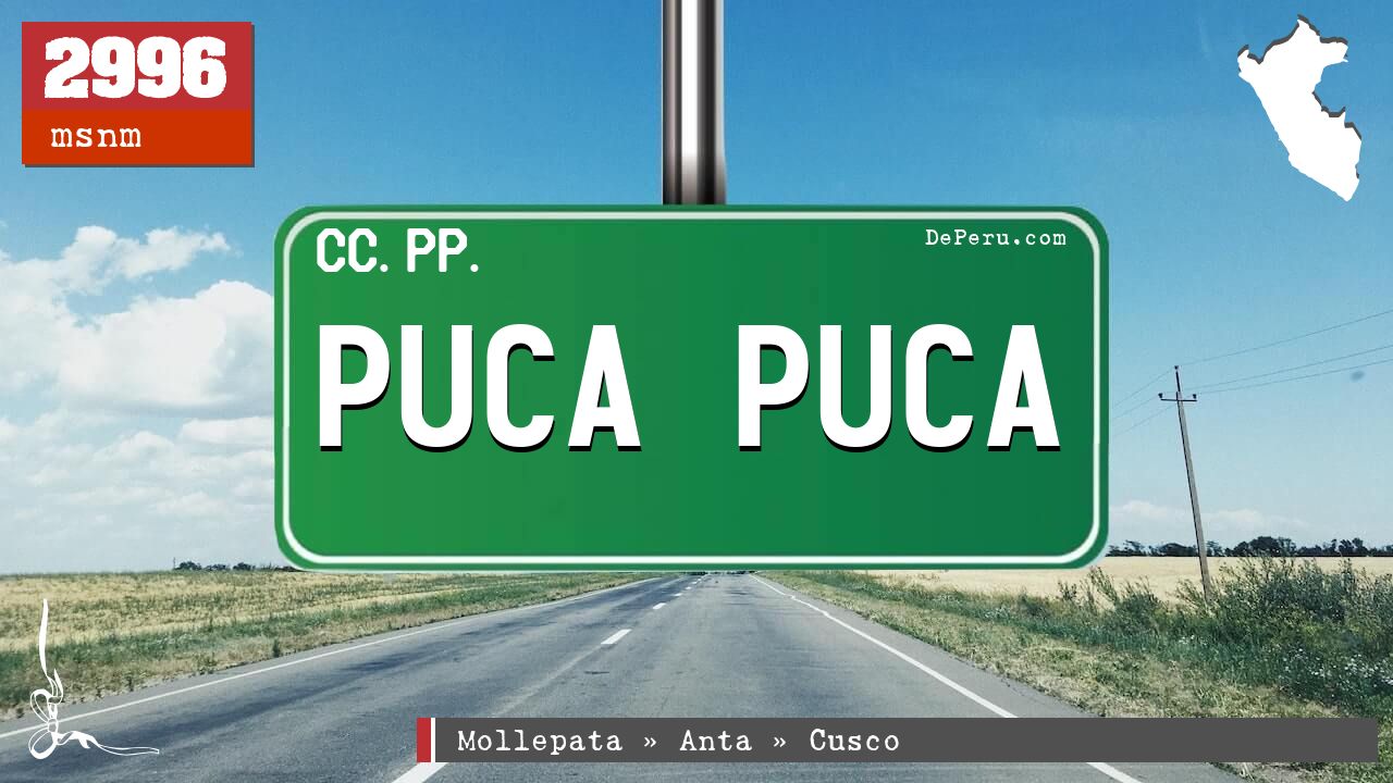 PUCA PUCA