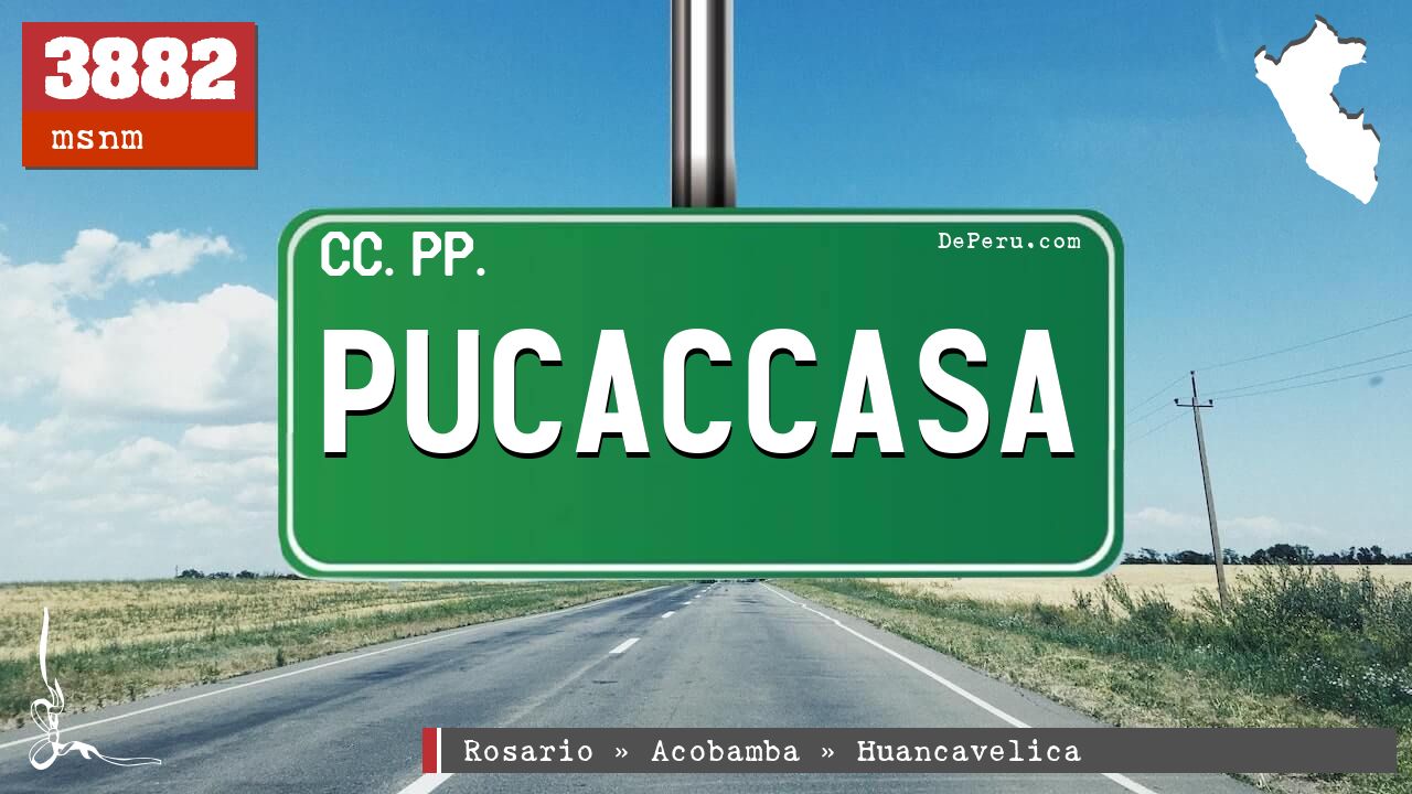 Pucaccasa