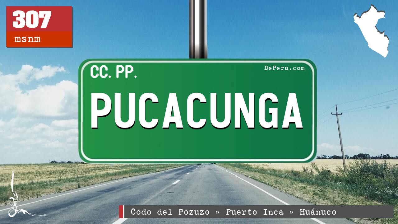 Pucacunga