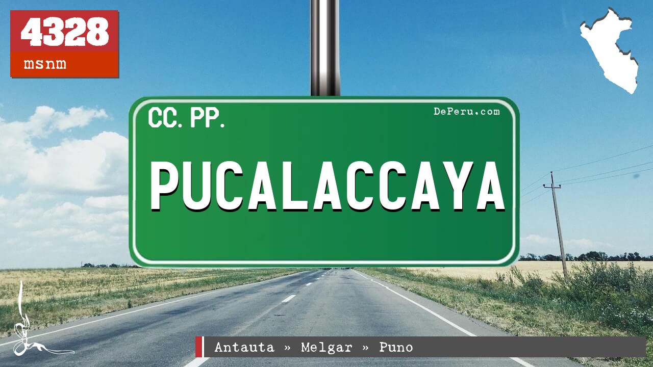 PUCALACCAYA
