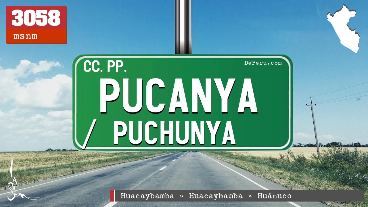 Pucanya / Puchunya