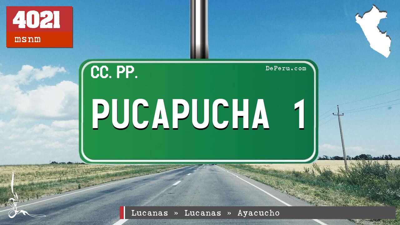 PUCAPUCHA 1