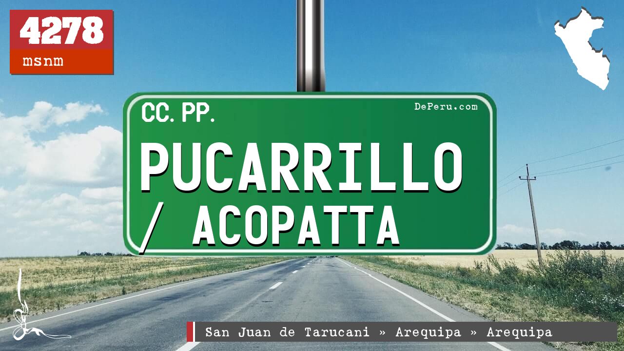 Pucarrillo / Acopatta