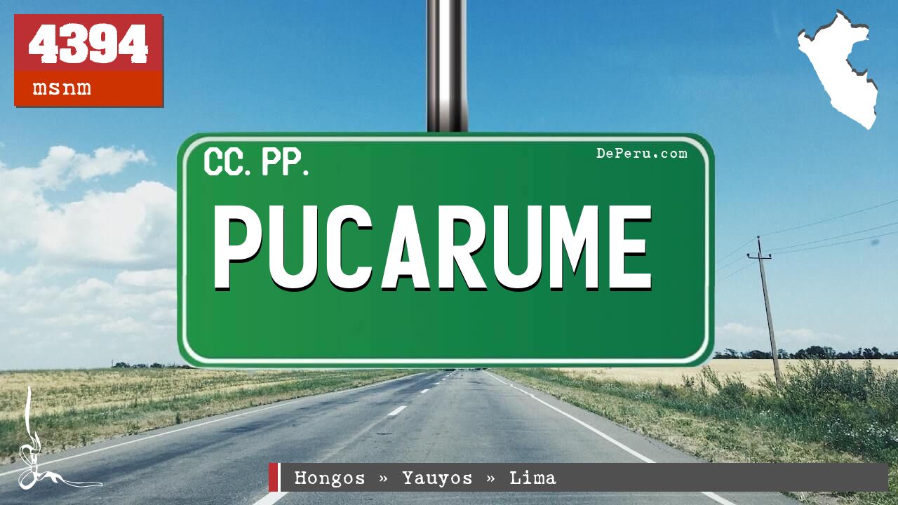 Pucarume