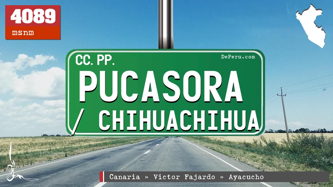Pucasora / Chihuachihua