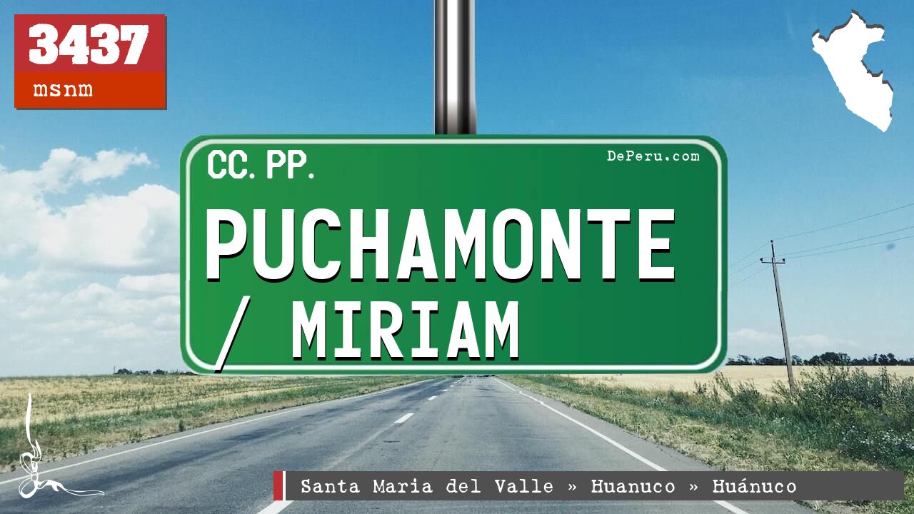 Puchamonte / Miriam