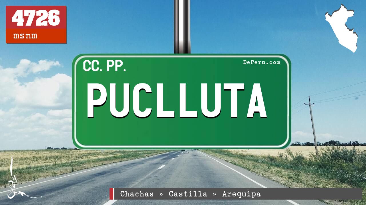 Puclluta