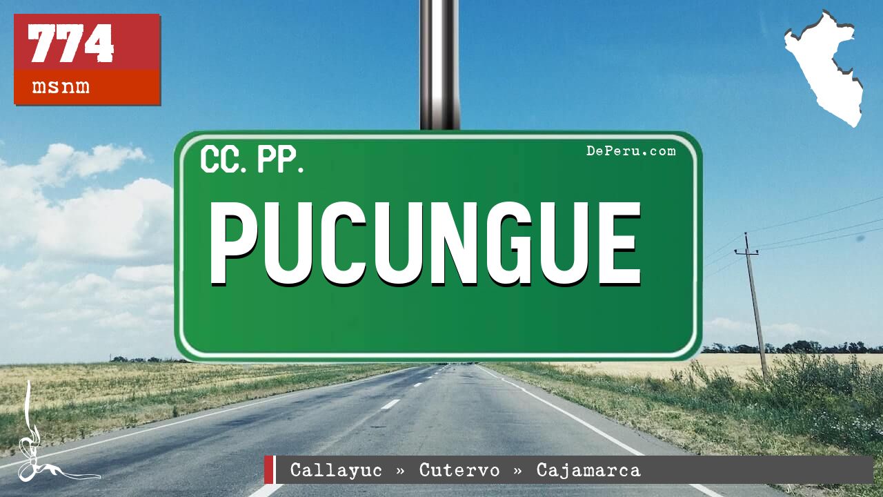 Pucungue