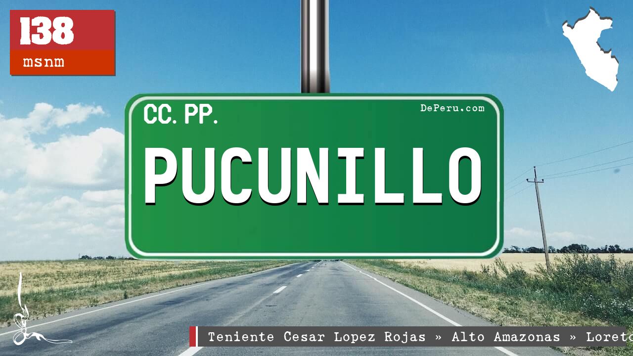 Pucunillo