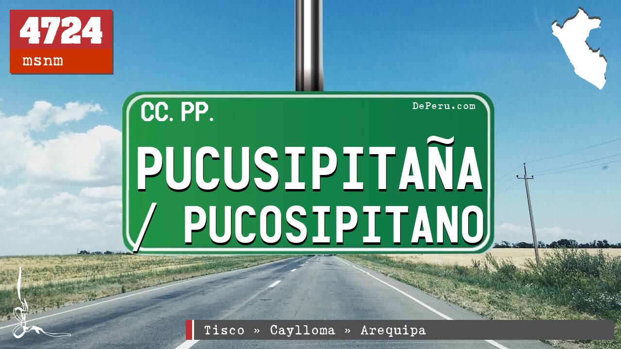 Pucusipitaa / Pucosipitano