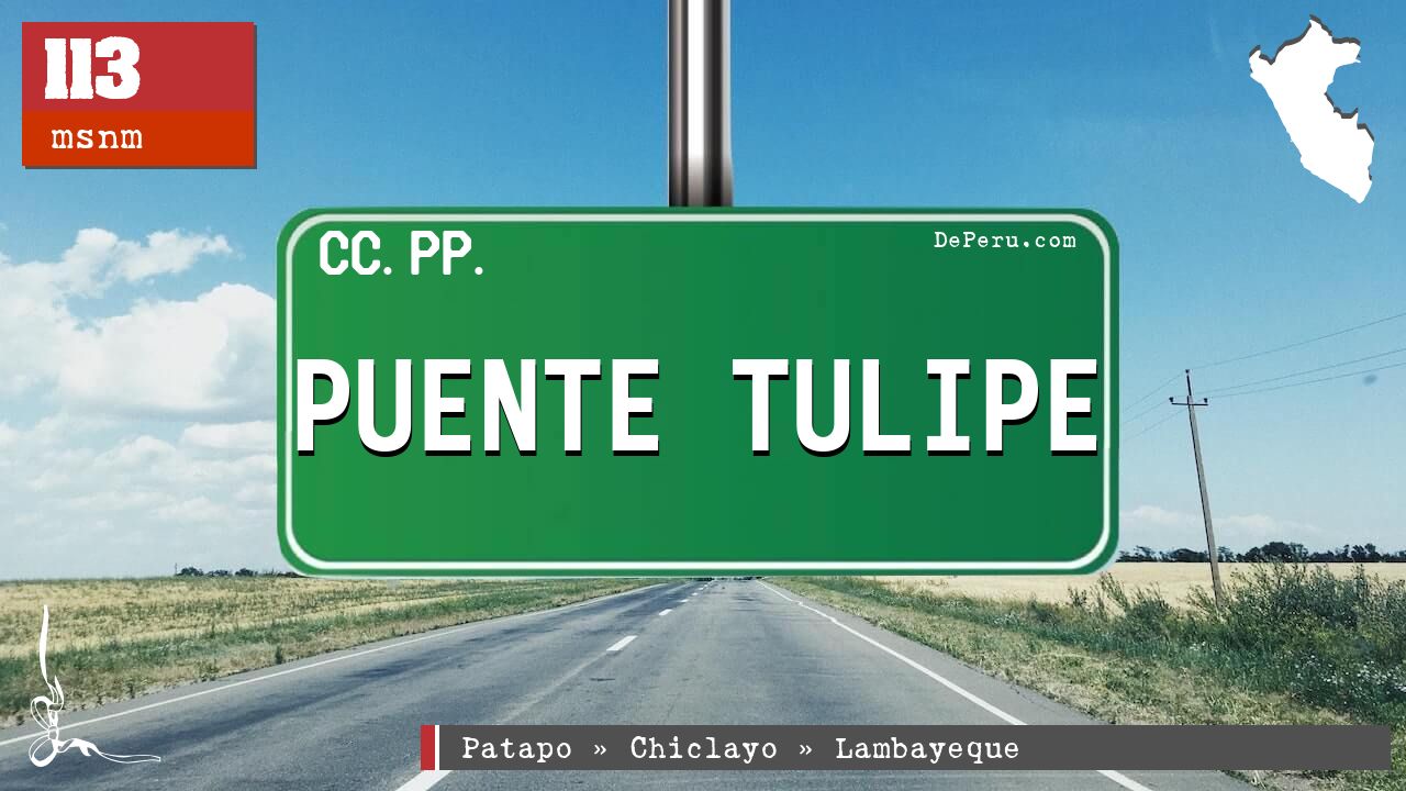 Puente Tulipe