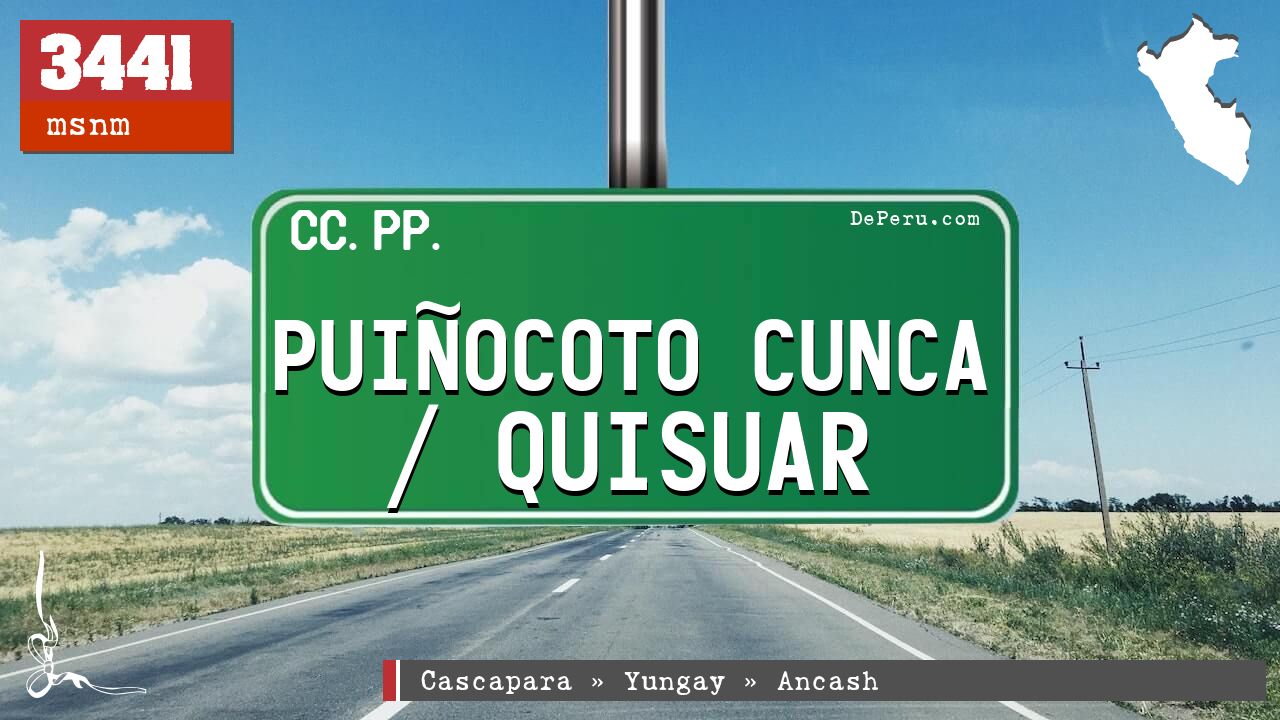 PUIOCOTO CUNCA