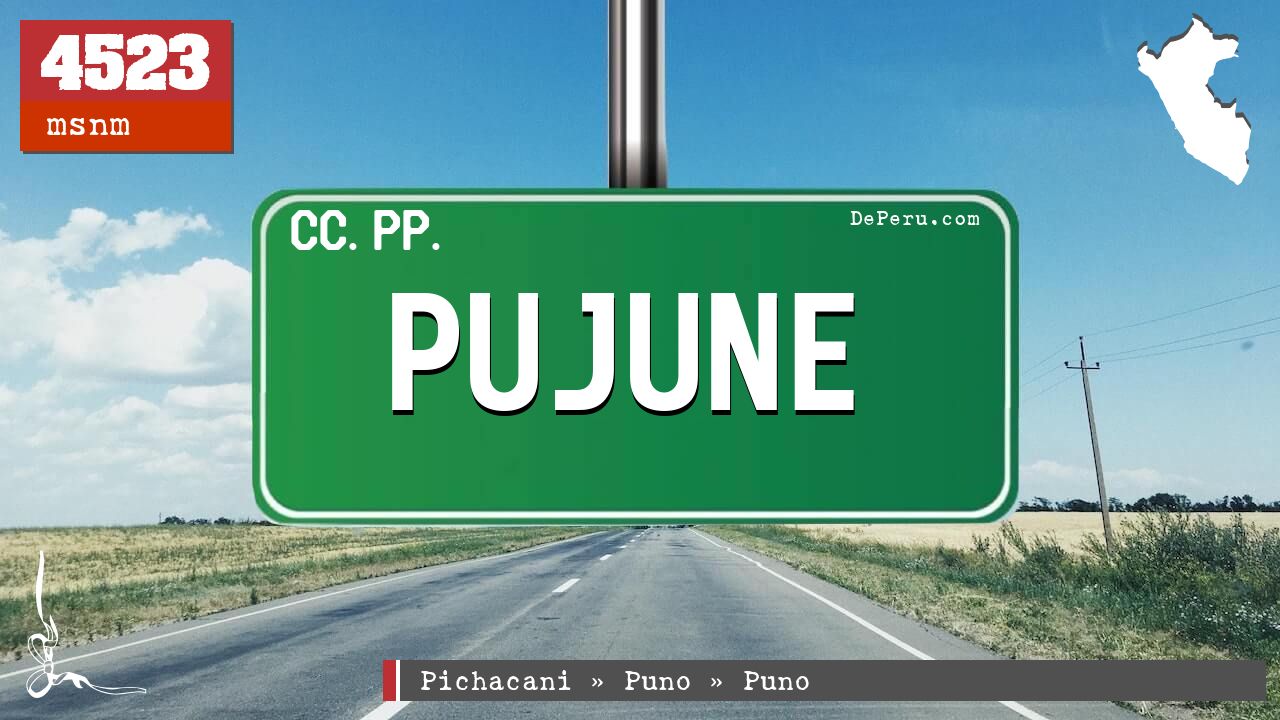 Pujune