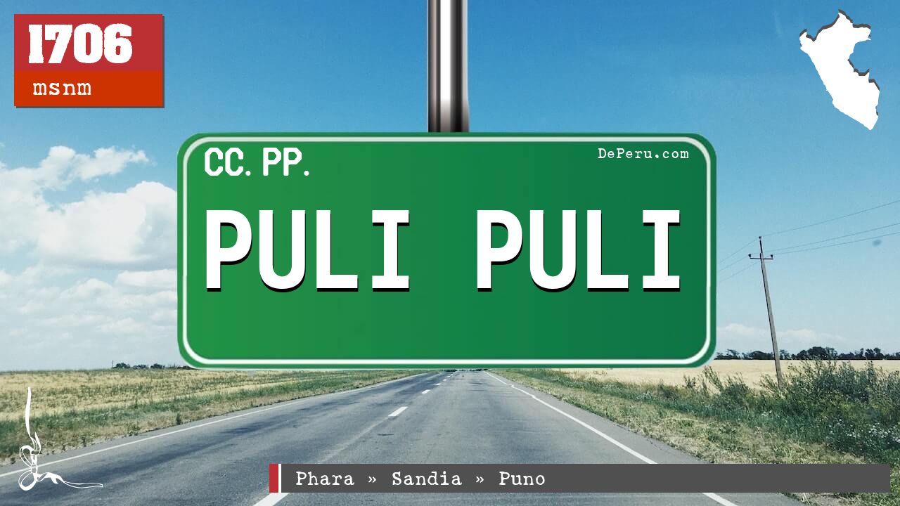 PULI PULI