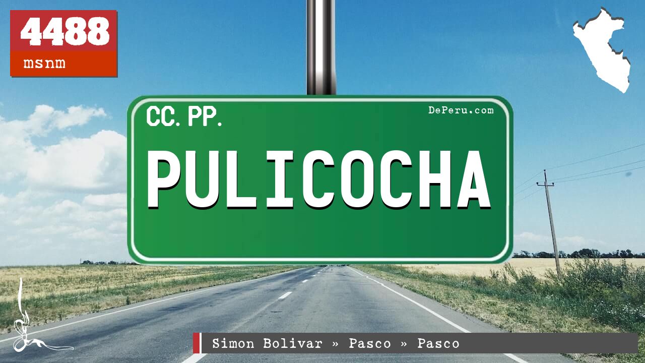 Pulicocha