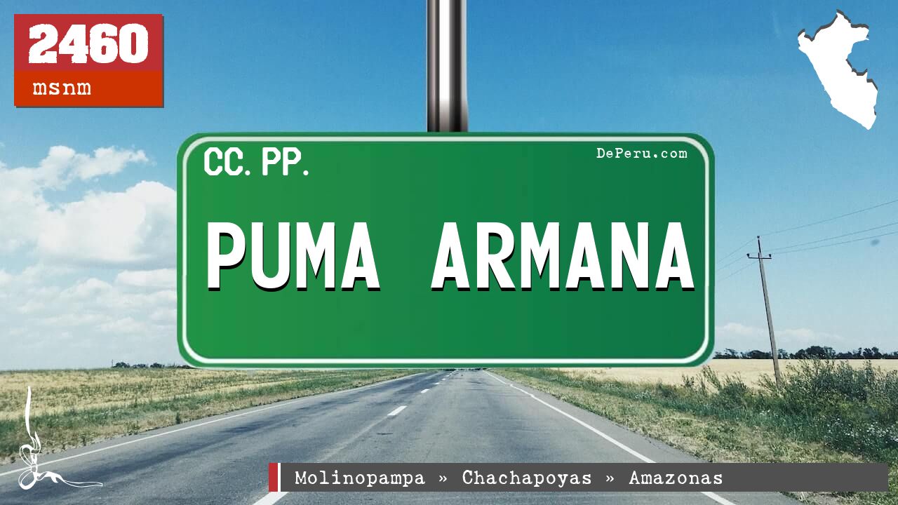 Puma Armana