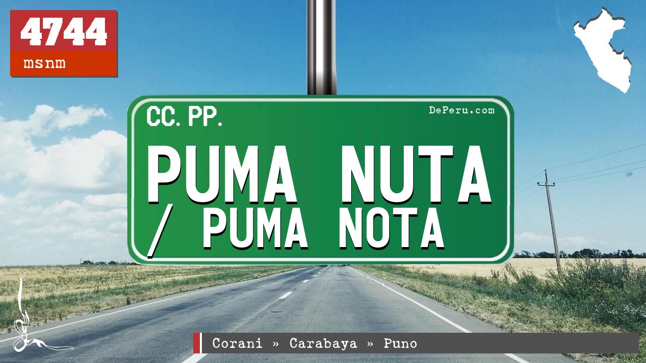 Puma Nuta / Puma Nota