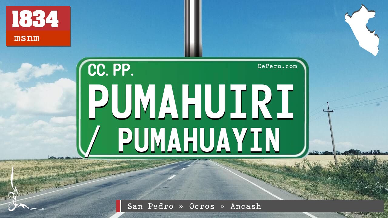 Pumahuiri / Pumahuayin