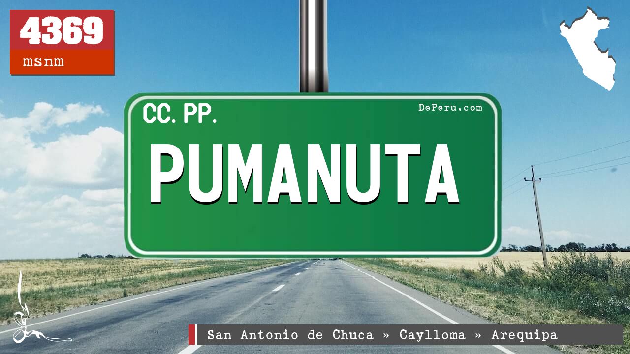 PUMANUTA