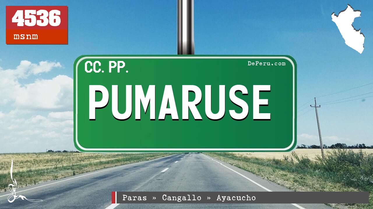 Pumaruse