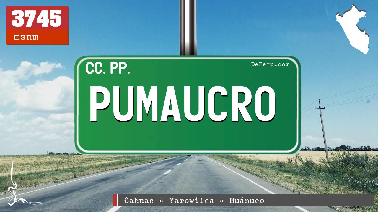 PUMAUCRO