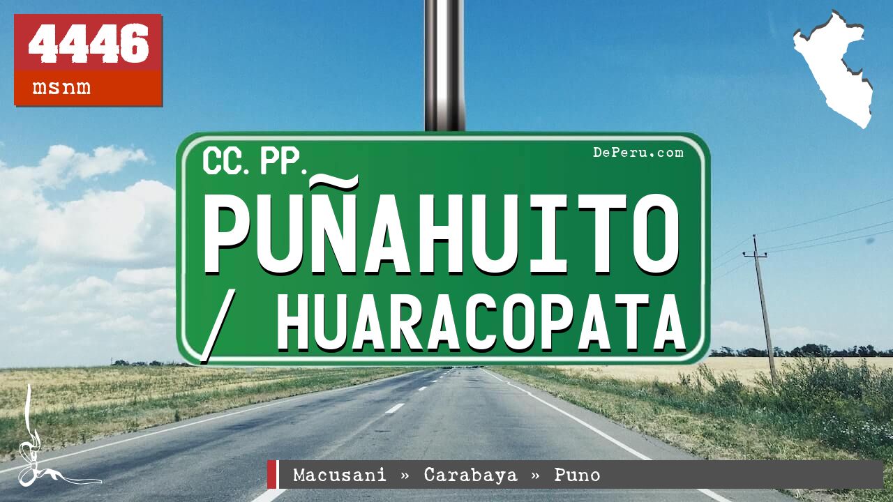 Puahuito / Huaracopata