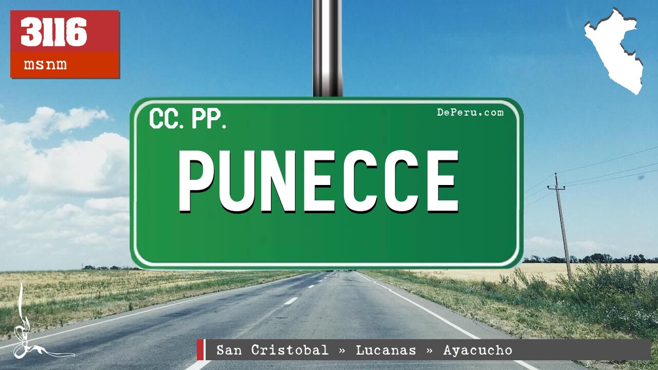 Punecce