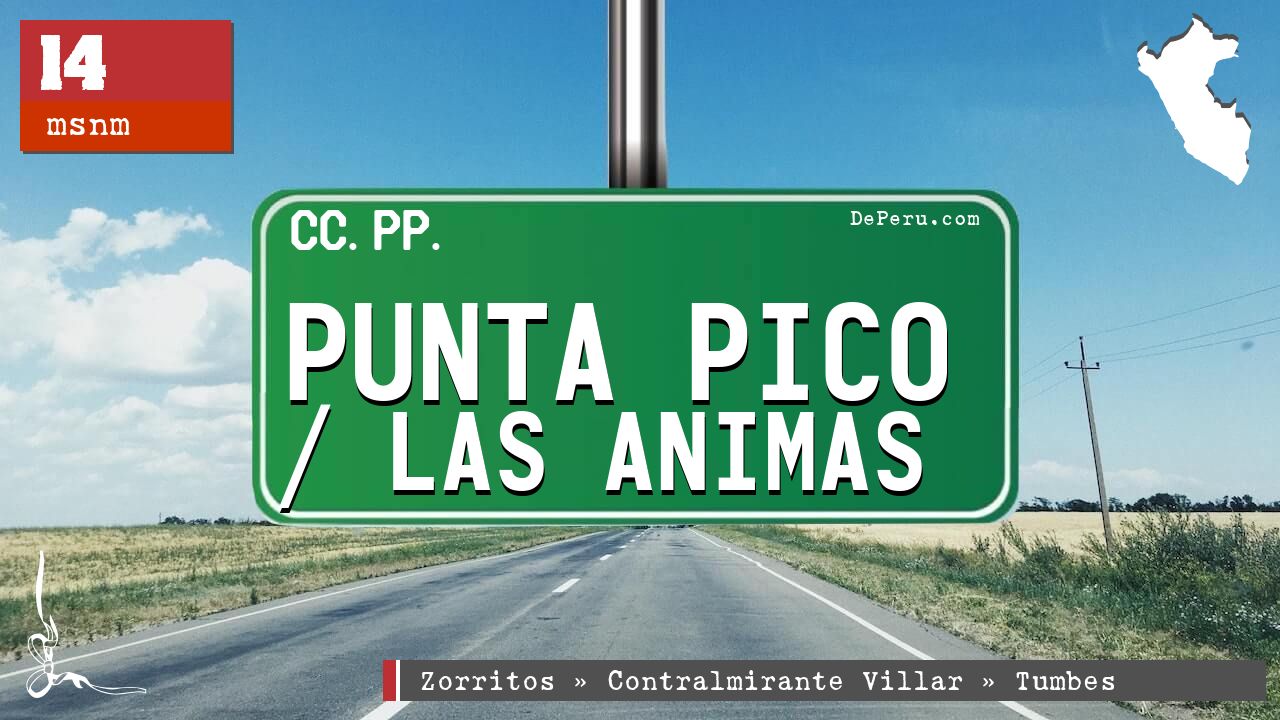 PUNTA PICO