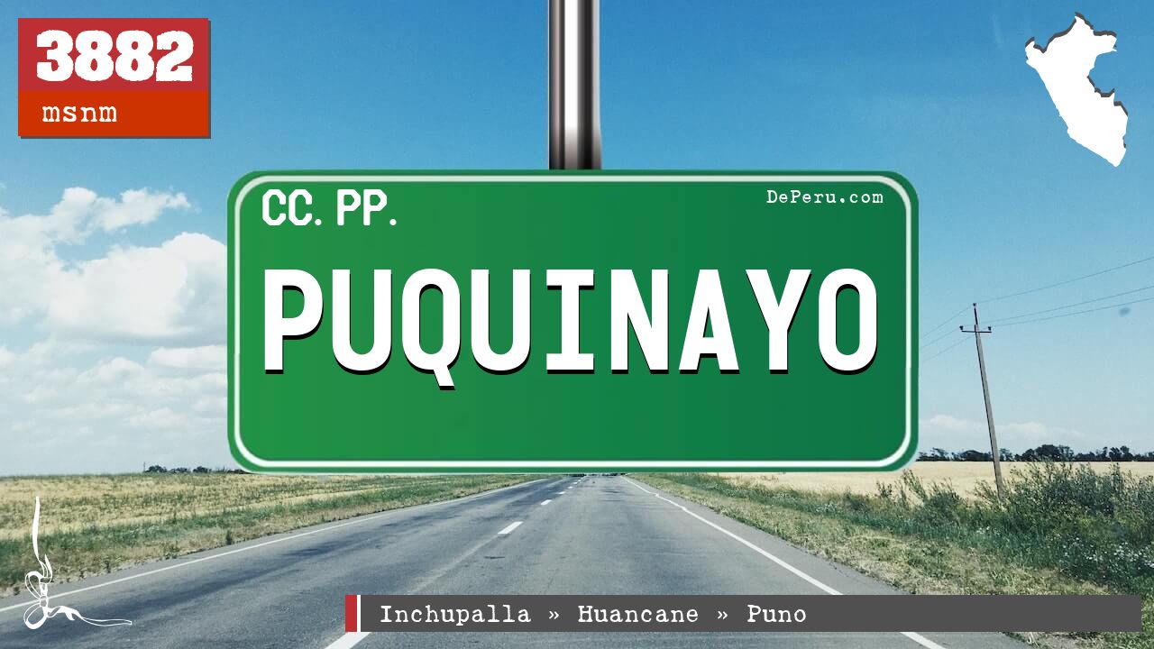 Puquinayo