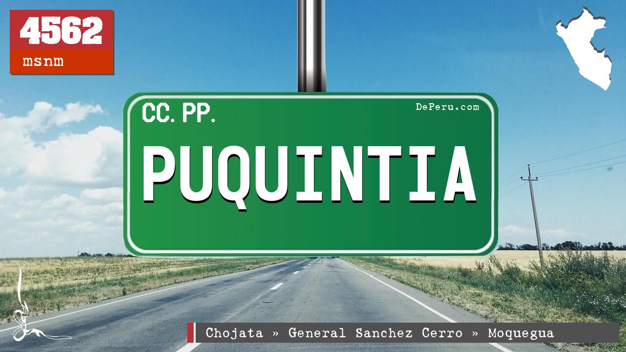 PUQUINTIA