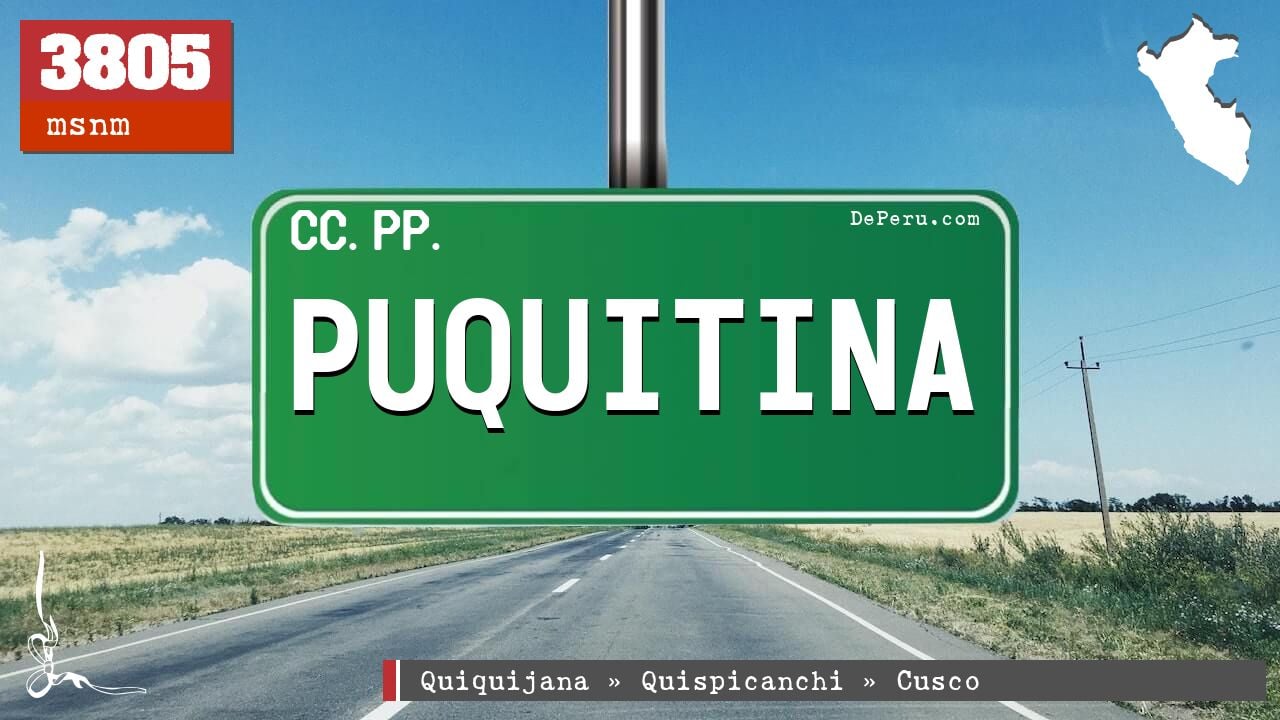 Puquitina