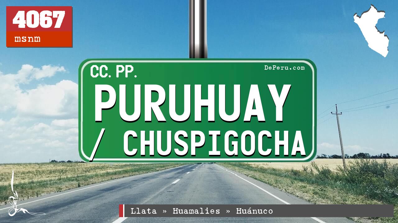 Puruhuay / Chuspigocha