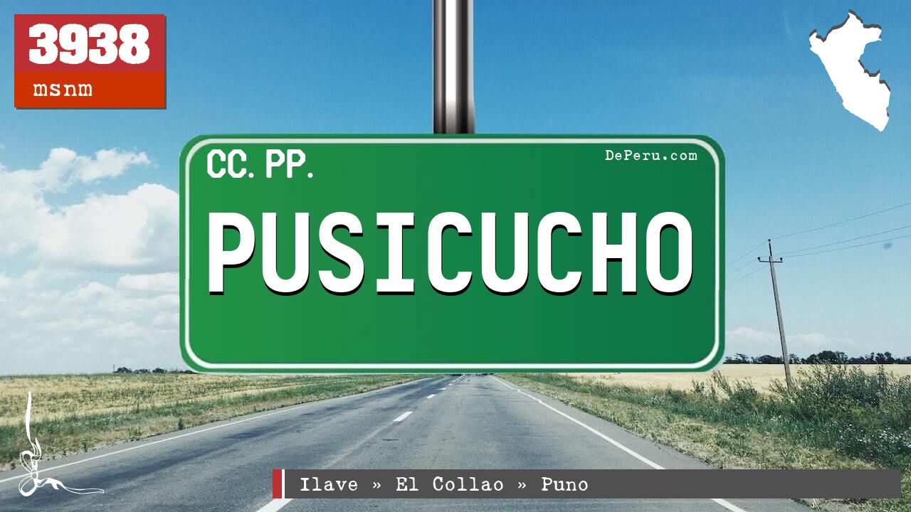 Pusicucho