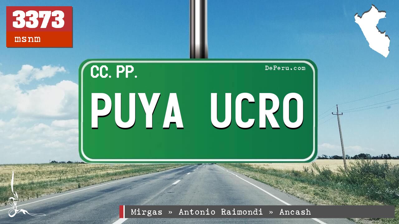 Puya Ucro
