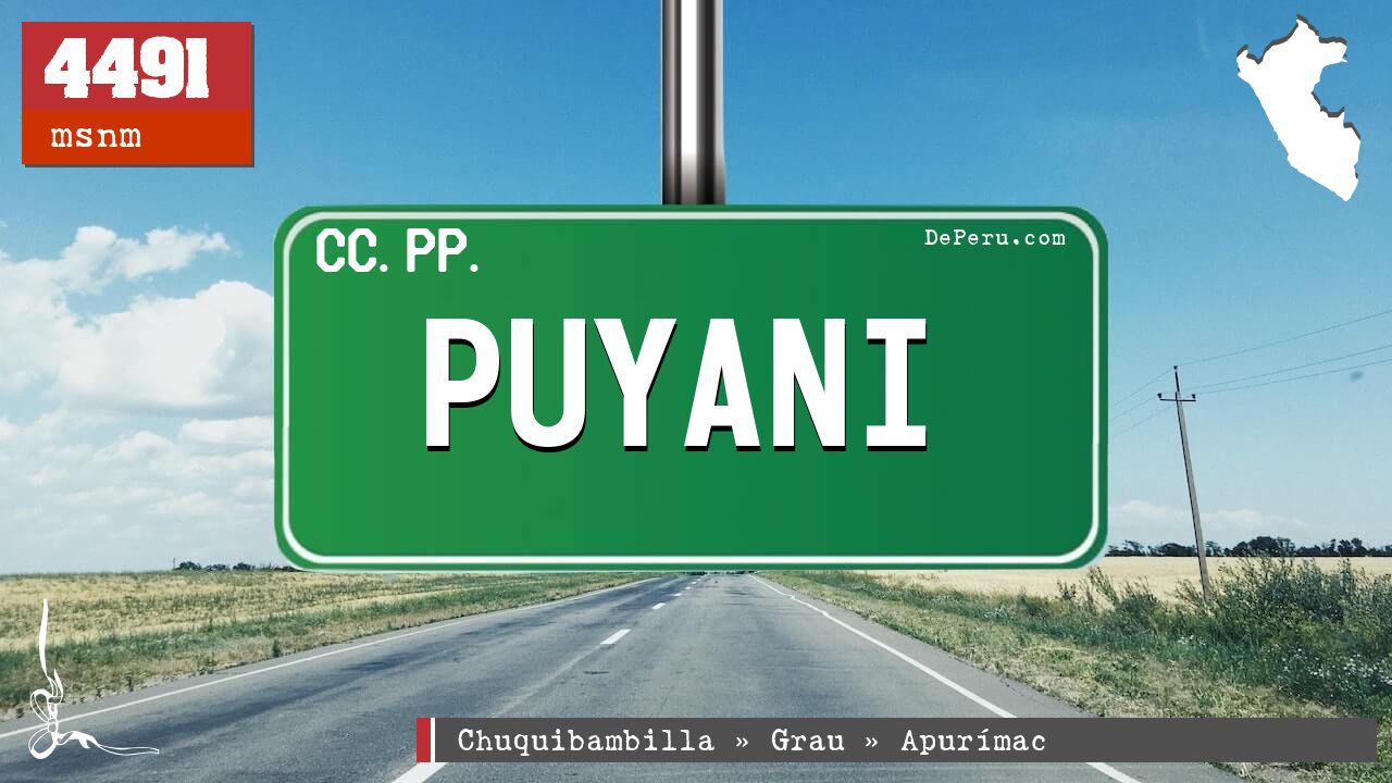 Puyani