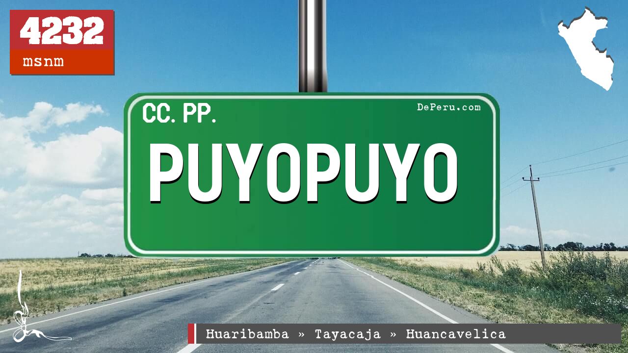 Puyopuyo