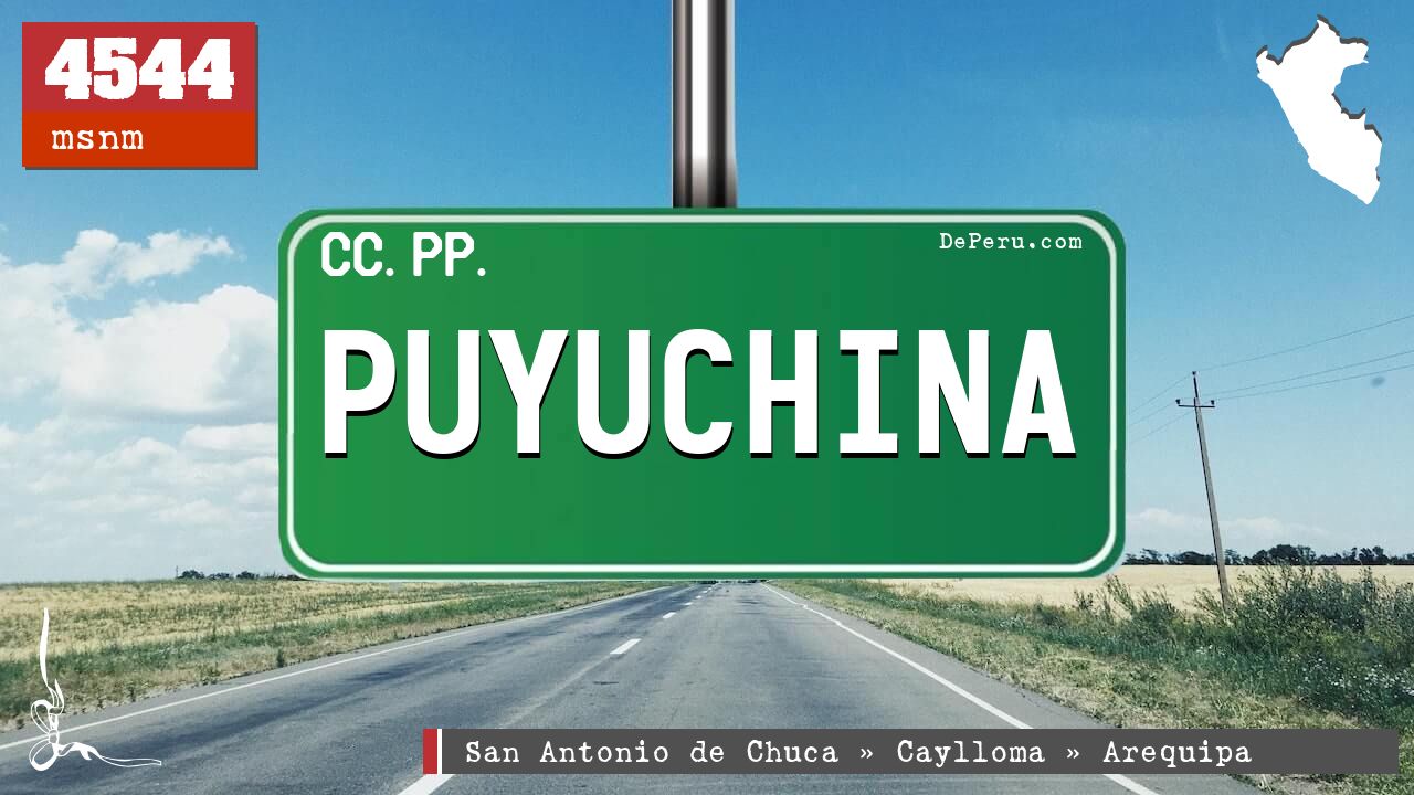 Puyuchina