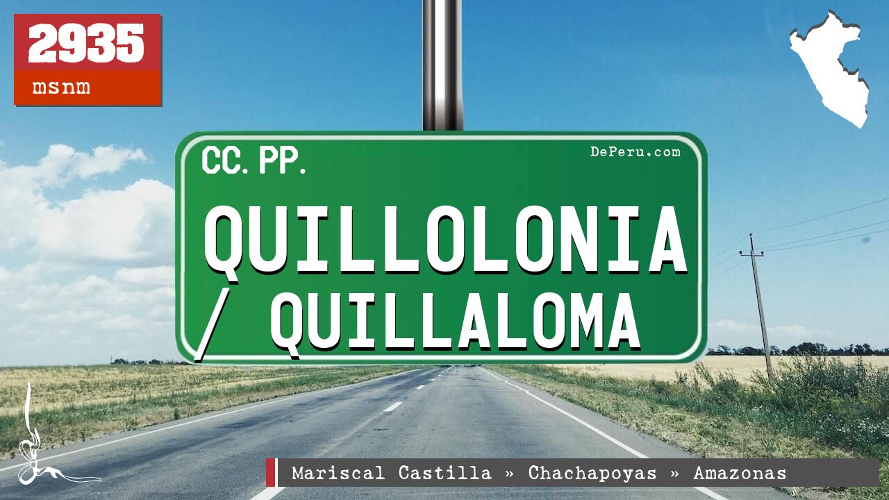 Quillolonia / Quillaloma