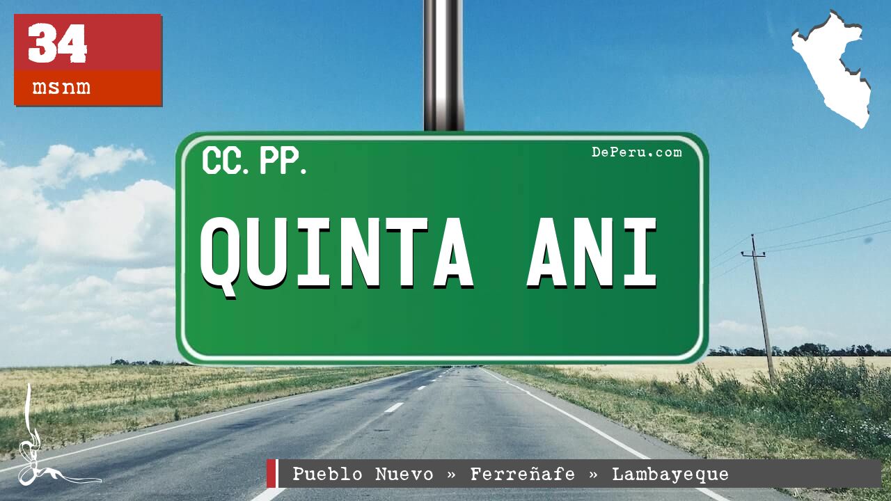 Quinta Ani